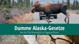 Dumme Alaska-Gesetze: Was ist für Elche verboten?