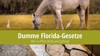 Dumme Florida-Gesetze: Wer ein Pferd stiehlt, wird gehängt