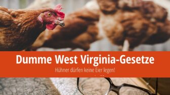 Dumme West Virginia-Gesetze: Hühner dürfen keine Eier legen!